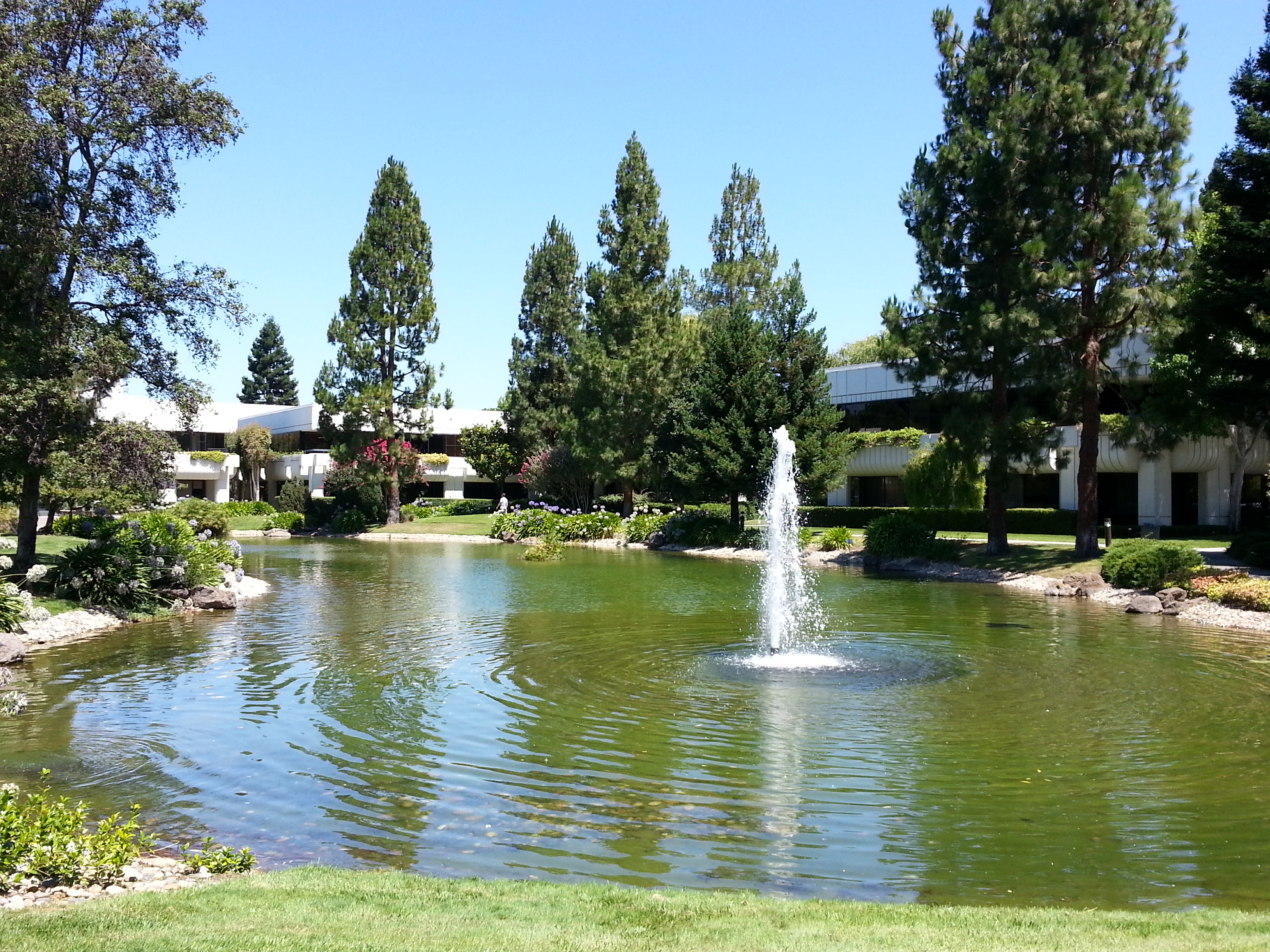 Cloudera S Garden Palo Alto